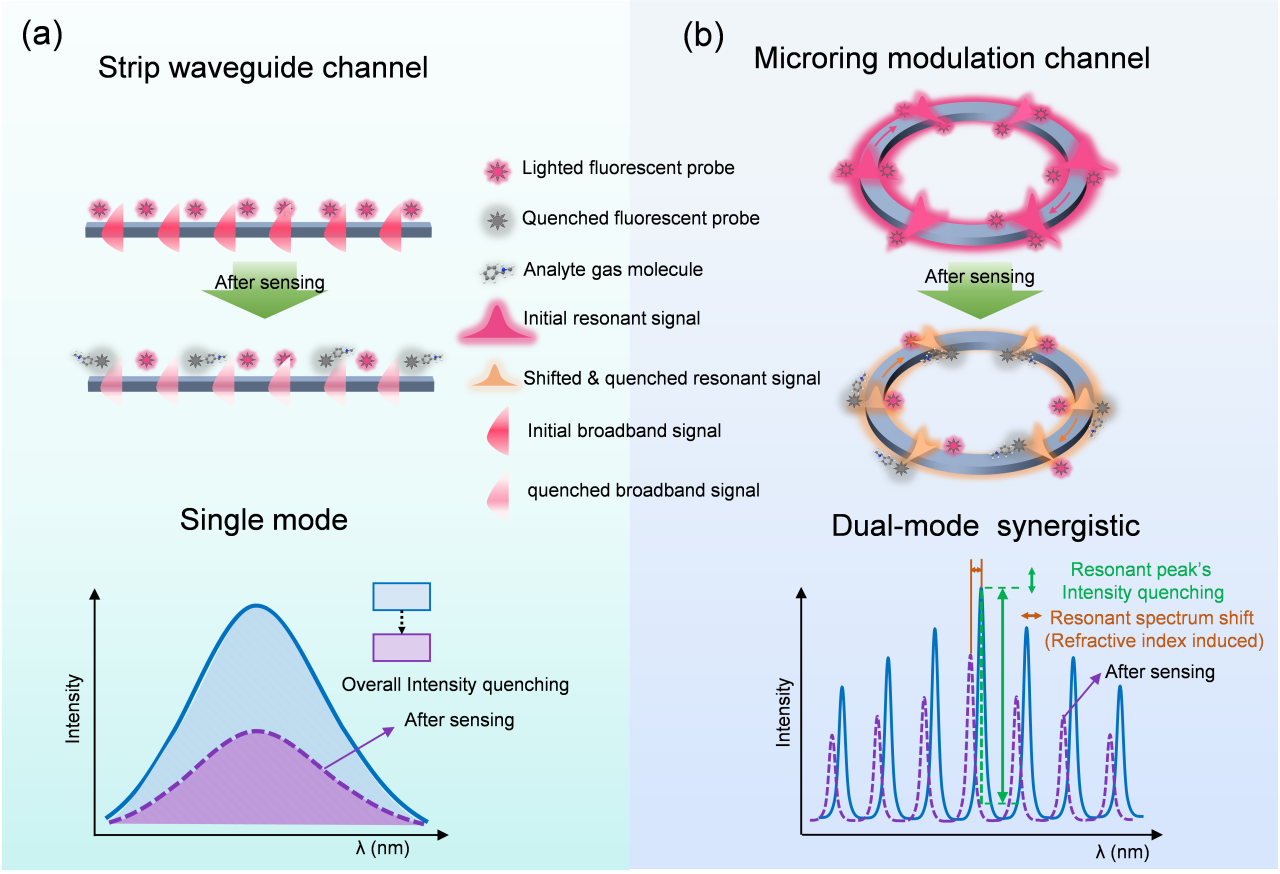 Synergistic Dual-Mode Amplification in Hybrid Integrated Sensing Chip for Ultrasensitive and Discriminative Gas Detection
