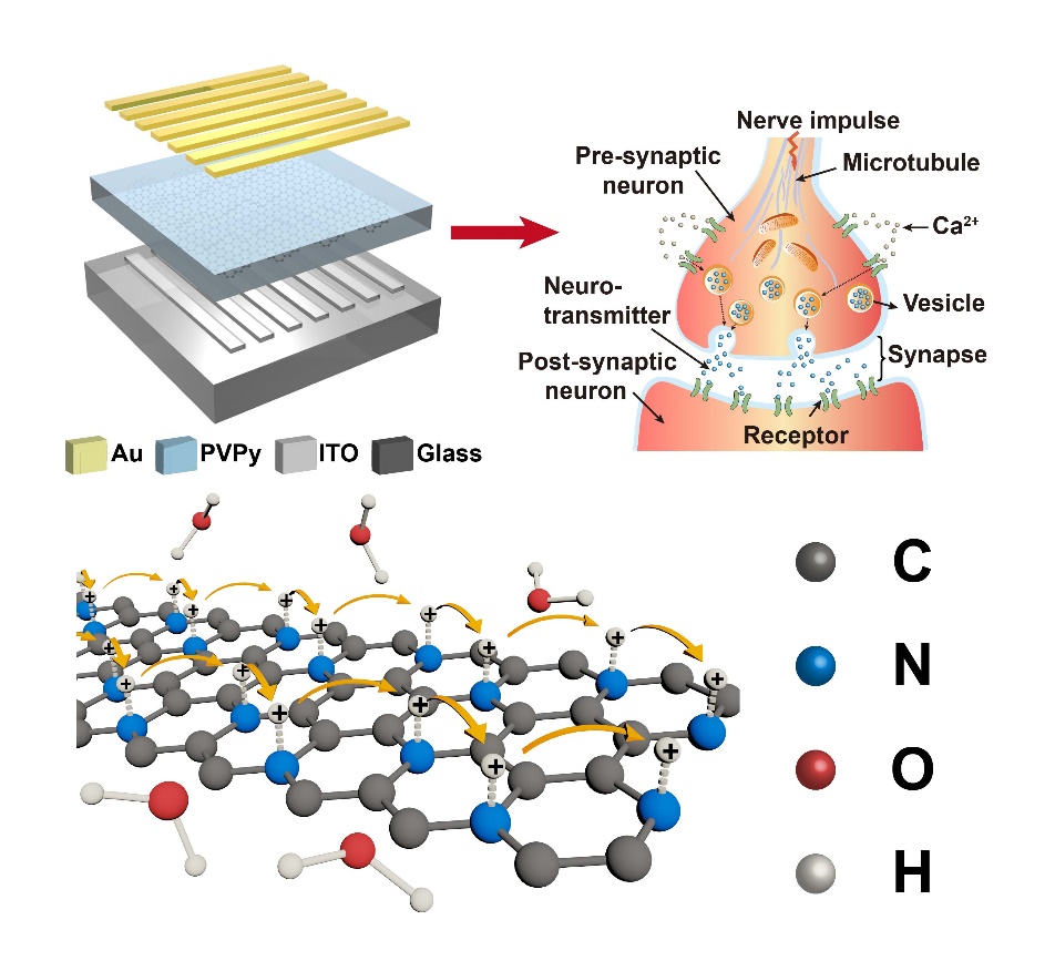 Frontiers  Synaptic Plasticity in Memristive Artificial Synapses